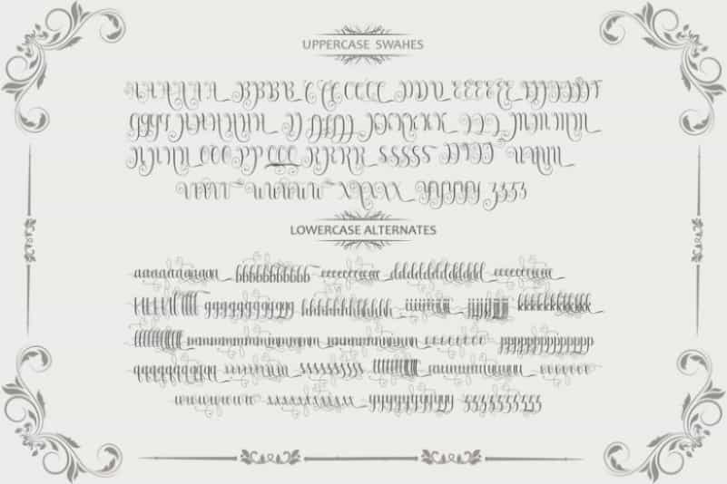 Armadilla Script Font Image 4