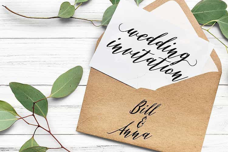 Evelyne Script Font Image 3
