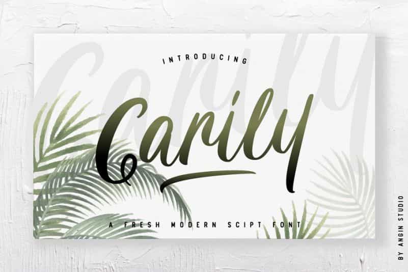Carily Script Font Image 1