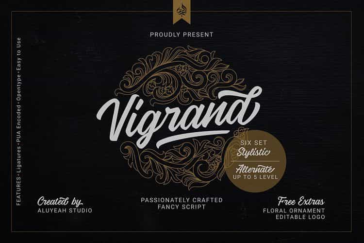 Vigrand Script Font Family Image 1