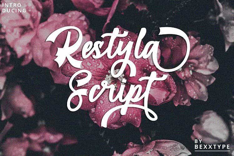 Restyla Script Font Image 1