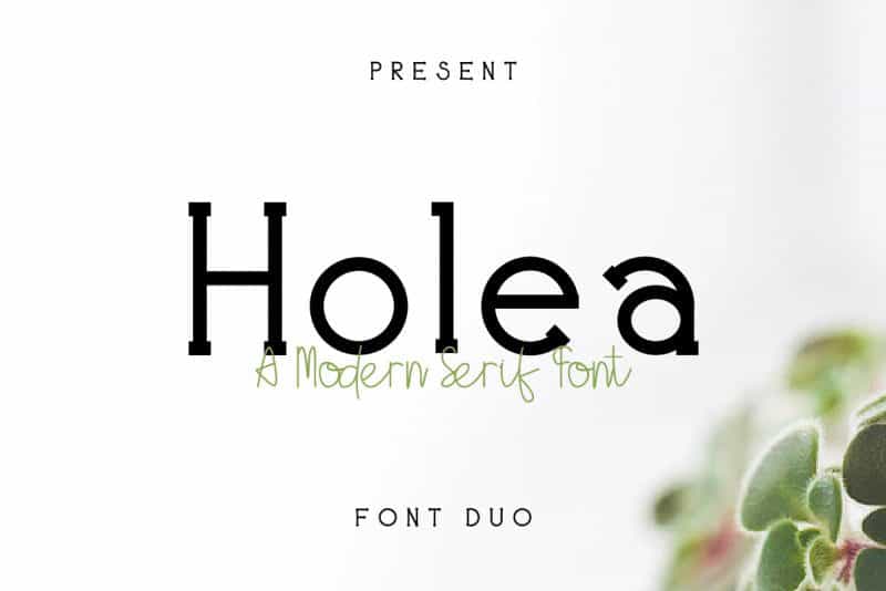 Holea Font Duo Image 1