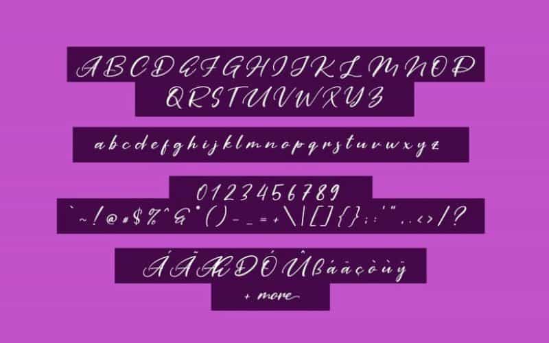 Purple Pen Script Font Image 2