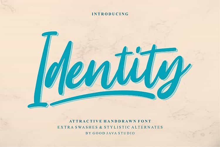 Identity Script Font Image 1