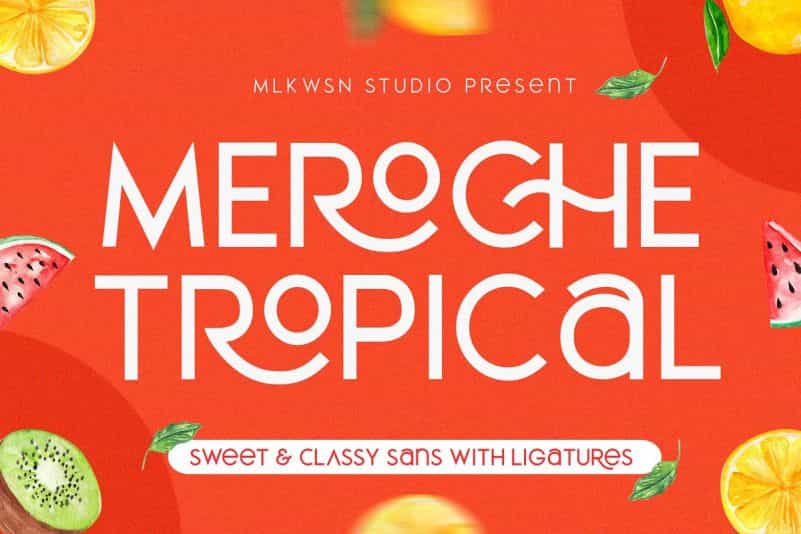 Meroche Sans Font Family Image 1