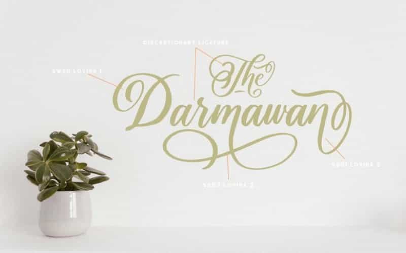 Lovina Calligraphy Font Image 2