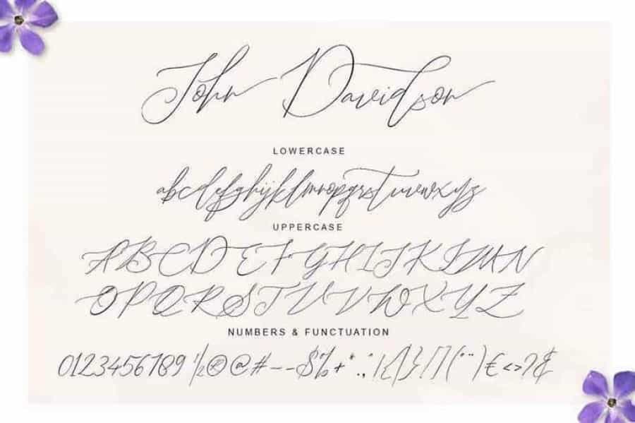 John Davidson Script Font Image 3