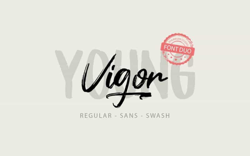 Young Vigor Brush Font Image 1