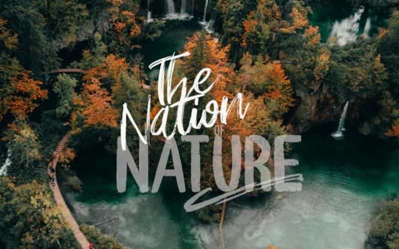 Young Vigor Brush Font Image 2