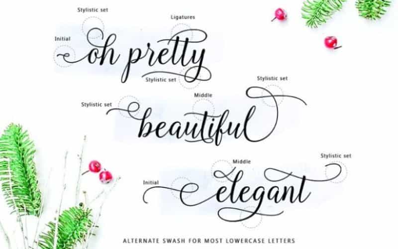 Kasandra Calligraphy Font Image 2