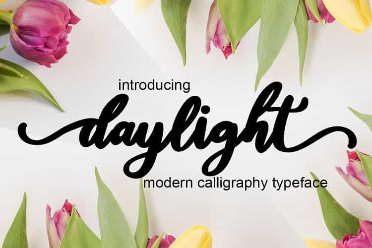 Daylight Calligraphy Font Image 1
