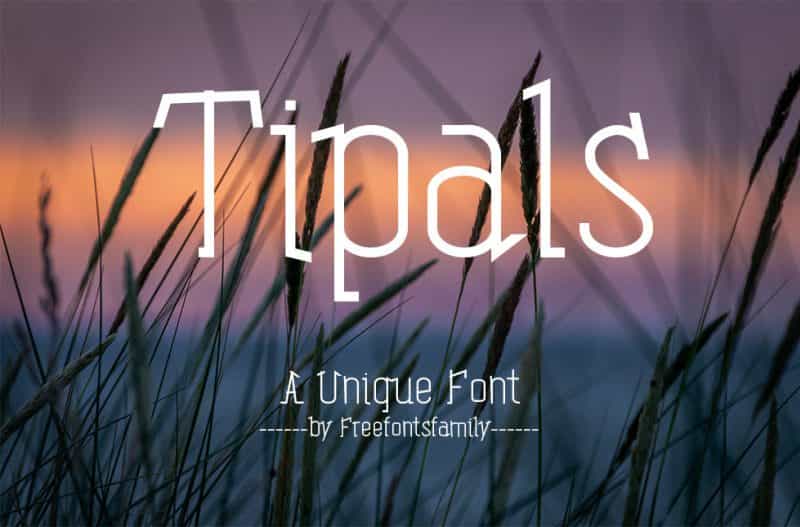 Tipals Font Image 1