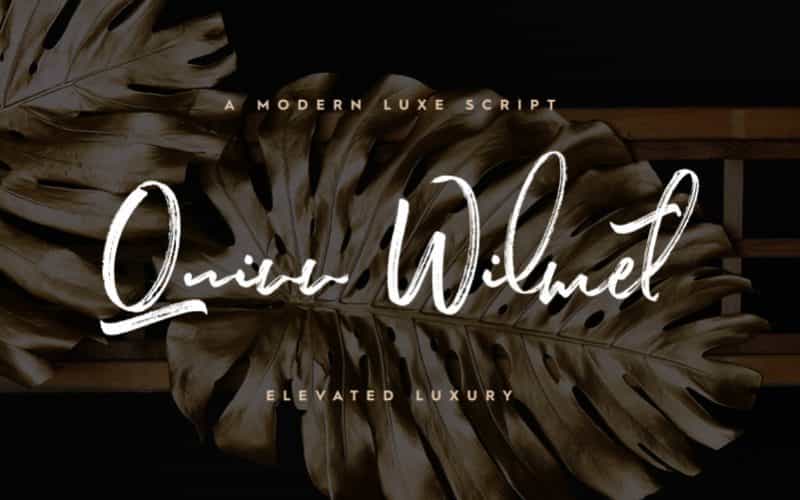 Quinn Wilmet Brush Font Image 1