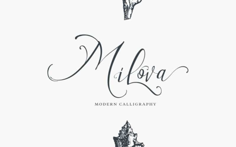 Milova Calligraphy Font Image 1