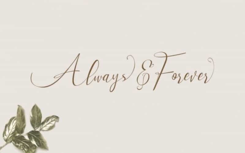 Milova Calligraphy Font Image 2