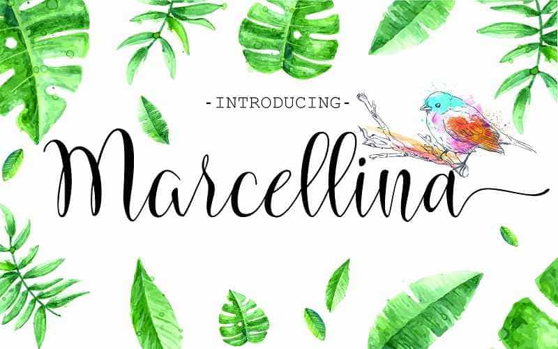 Marcellina Script Font Image 1