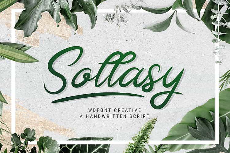 Sollasy Calligraphy Font Image 1
