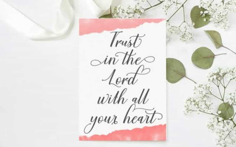 Charliez Calligraphy Font Image 2