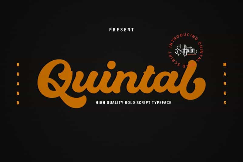 Quintal Bold Script Font Image 1