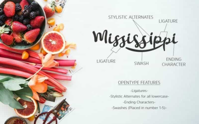 Smoothy Script Font Image 2