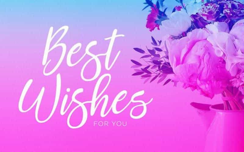 Reshonta Calligraphy Font Image 2