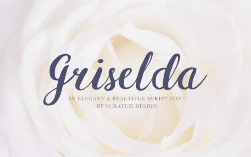 Griselda Brush Font Image 1