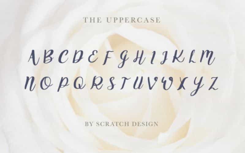Griselda Brush Font Image 2