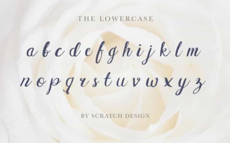 Griselda Brush Font Image 3