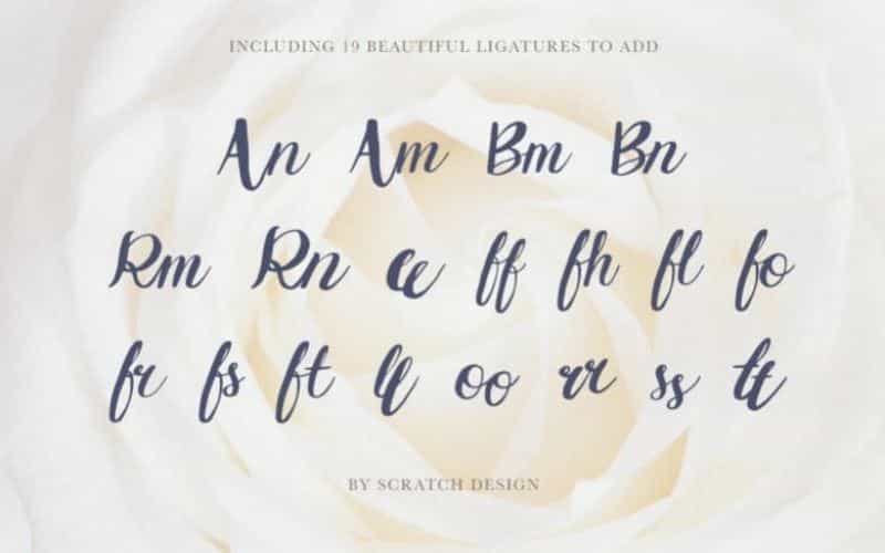 Griselda Brush Font Image 4