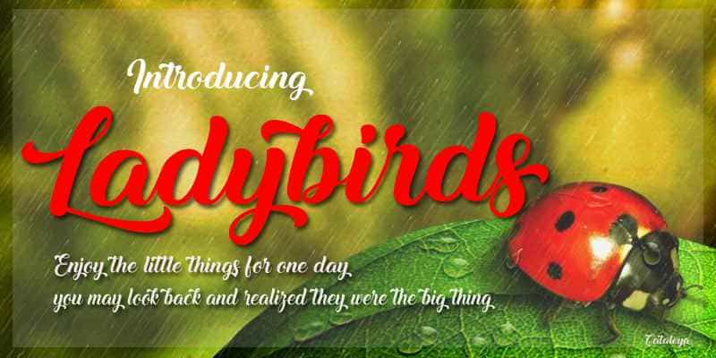 Ladybirds Font Free Image 1
