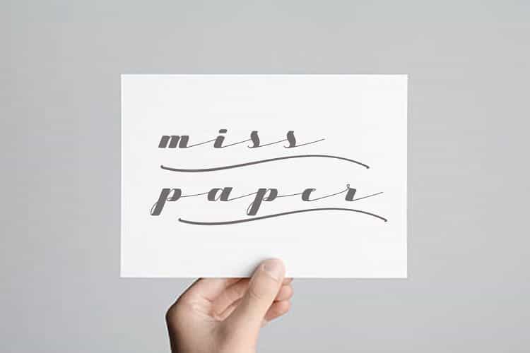 Starling Calligraphy Font Image 2