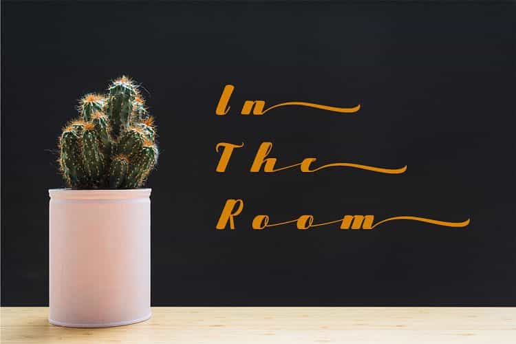 Starling Calligraphy Font Image 3