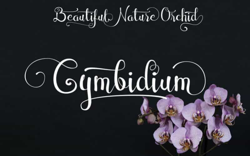 Cymbidium Calligraphy Font Image 1