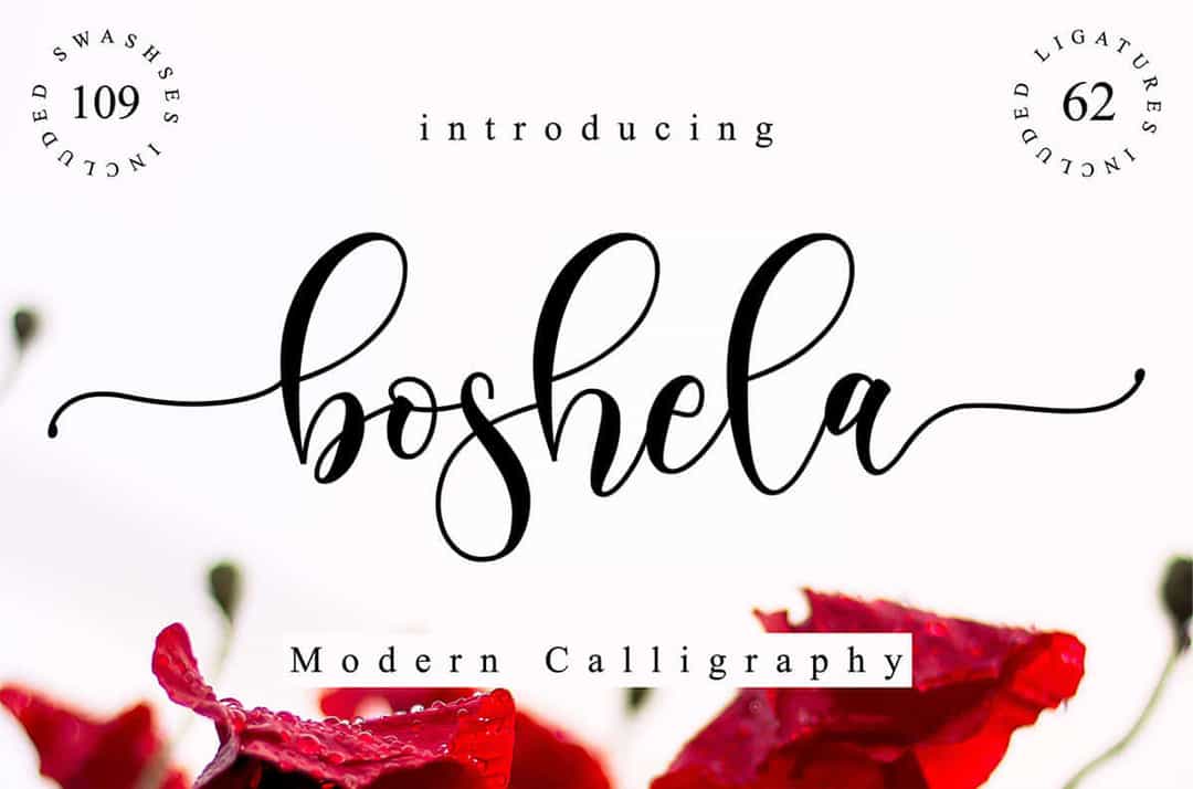 Boshela Calligraphy Font Image 1