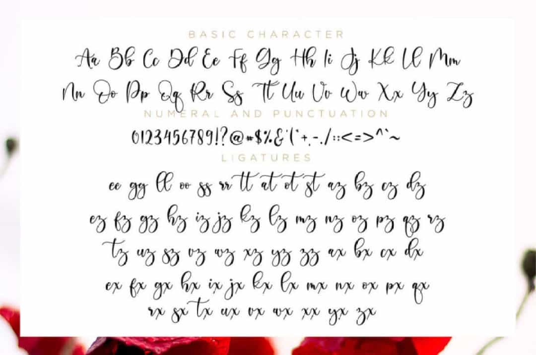 Boshela Calligraphy Font Image 3