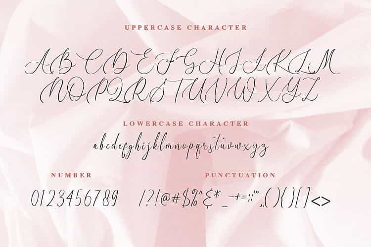 Birallina Calligraphy Font Image 3