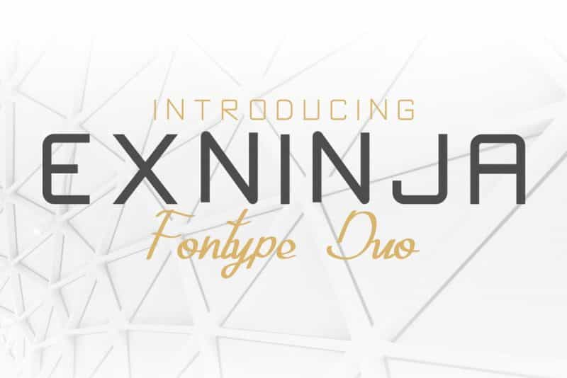 Exninja Font Duo Image 1