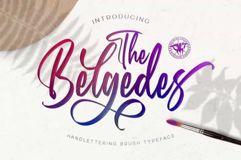 Belgedes Brush Script Font Image 1