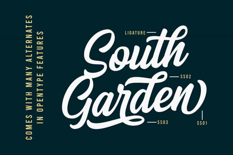 Arthein Bold Script Font Image 2