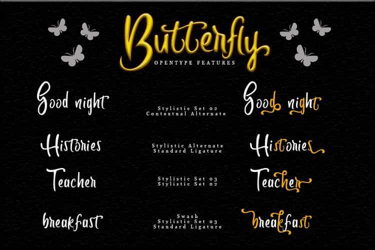 Butterfly Script Font Image 2