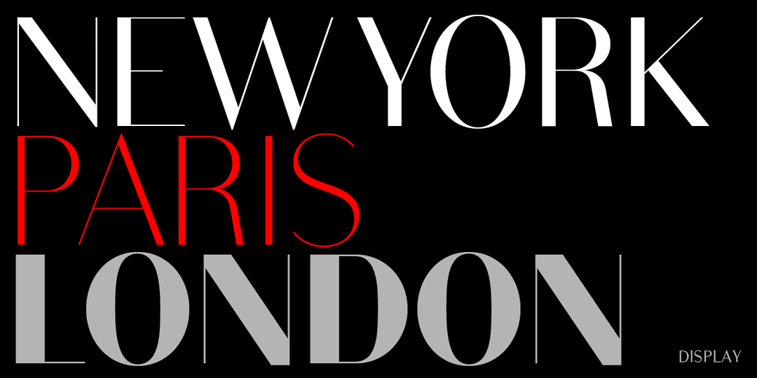 Bodoni Sans Text Font Family Image 2