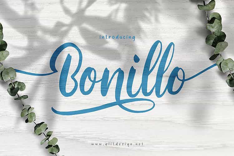 Bonillo Script Font Image 1