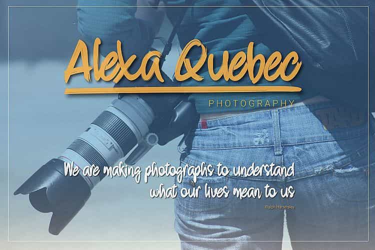 Strongbold Brush Font Image 3