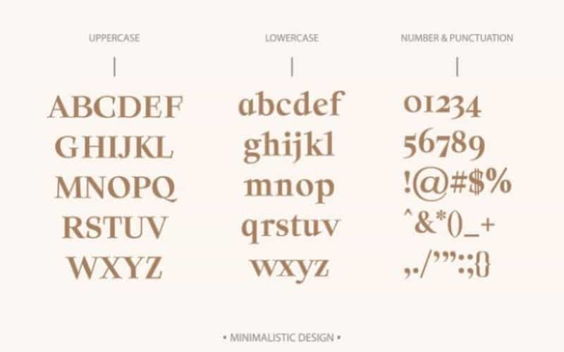 Solomon Serif Font Family Image 3