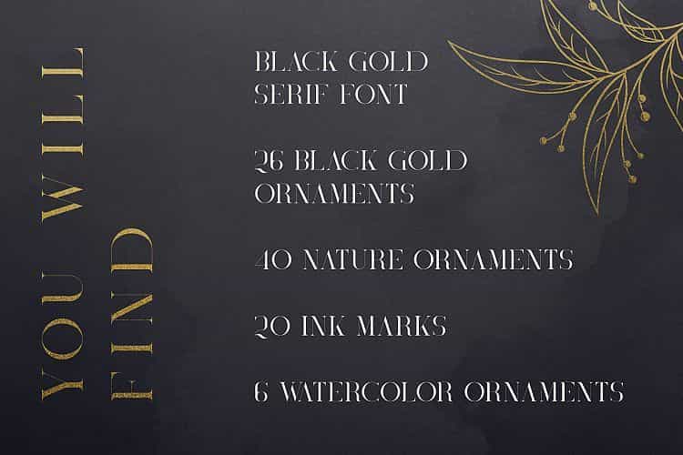 Black Gold Serif Font Image 2