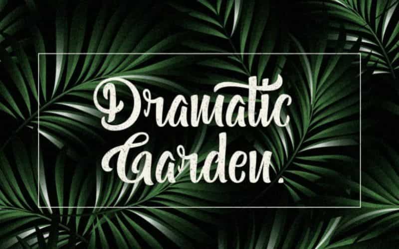 Bohemian Melody Calligraphy Font Image 3