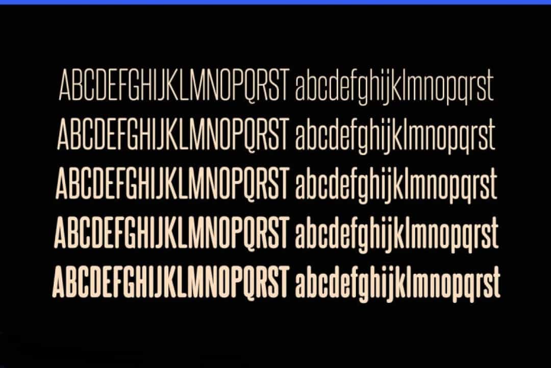 Steelfish Rounded Font Family Image 2