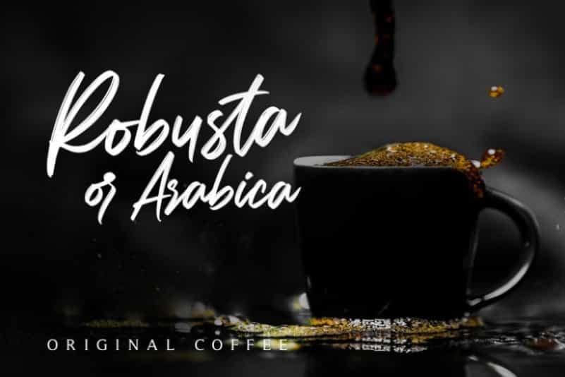 Carolissa Brush Font Image 3