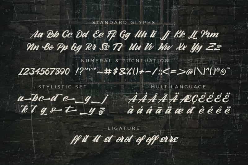 Arlen Script Font Image 3