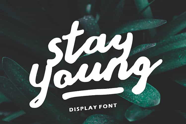 Stay Young Script Font Image 1